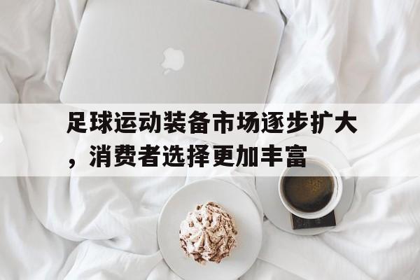 互动娱乐-足球运动装备市场逐步扩大，消费者选择更加丰富